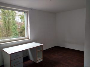 zimmer3